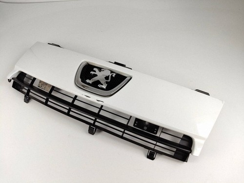 Peugeot expert 2011 grille - expert,
