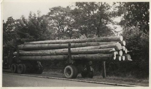 Photo ancienne vintage - photo,