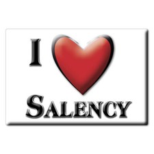 Aimant sur Salency, Oise, Nord