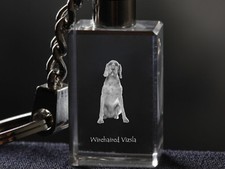 Braque hongrois à poil dur