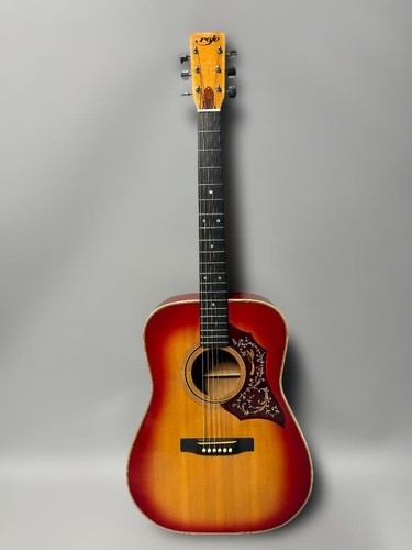 Zenon roger hummingbird 170 - roger,
