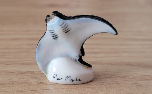 Fève raie manta - -, la