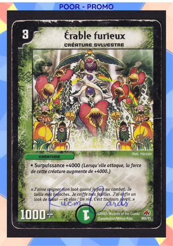 Erable furieux sylvestre promo - furieux,