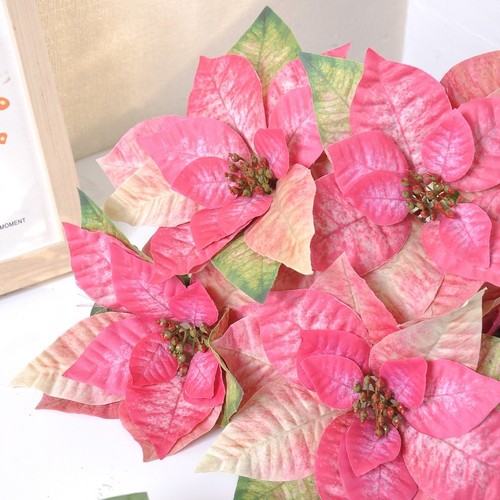 Tissu flanelle poinsettia