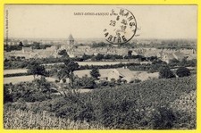 cpa Vue RARE 53 - VILLAGE de SAINT DENIS d'ANJOU et ses VIGNES (Mayenne) Cépages