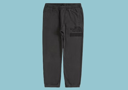 Supreme the north face - supreme,