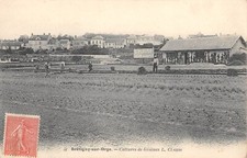 CPA 91 BRETIGNY SUR ORGE / CULTURES DE GRAINES / L.CLAUSE