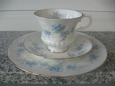 TASSE DE COLLECTION Porcelaine ANGLAISE ROYAL STANDARD