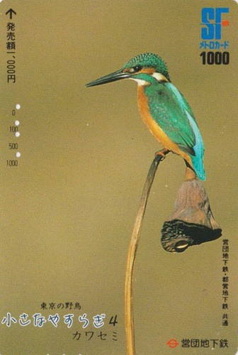 Carte japon animal oiseau - animal,
