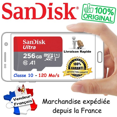 Sandisk carte mémoire 256 - carte,