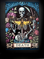 Acherontia Atropos XL- Papillon Sphinx Tête de Mort naturalisé sous caisson noir