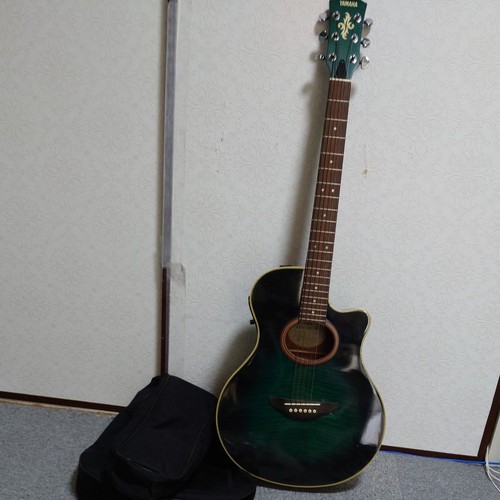 Guitare acoustique électrique