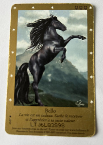 C23 carte bella sara bello - bella,