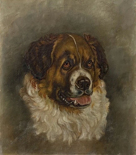 Saint bernard dog portrait - bernard,