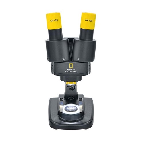 Kids stereo microscope - stereo,