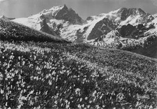 5 LA MEIJE CHALET DU GALIBIER