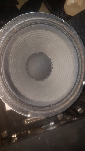 Celestion 100 8 ohms - 12,