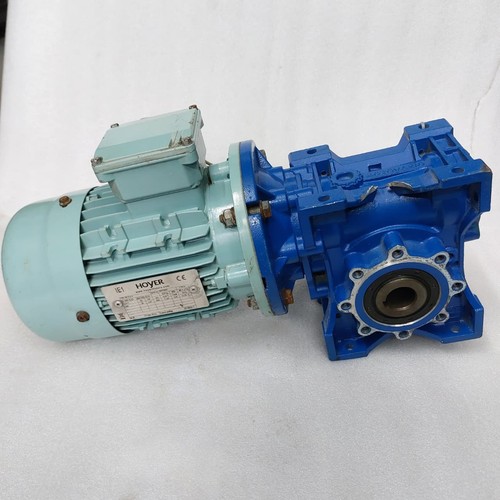 Hoyer motors gear type - hoyer,