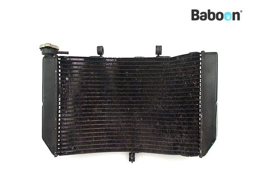 Radiateur honda cbr 600 - honda, fs