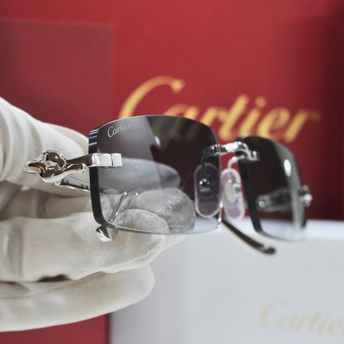 Cartier rimless cto505s - cartier,