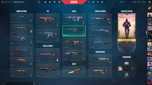 Compte valorant full skins - valorant,