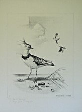 Jean-Lin DESCAMPS - Lithographie originale signée- Vanneau huppé 