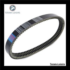 Courroie pour CASALINI SULKY