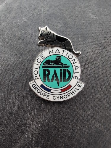 Pin raid groupe - groupe,