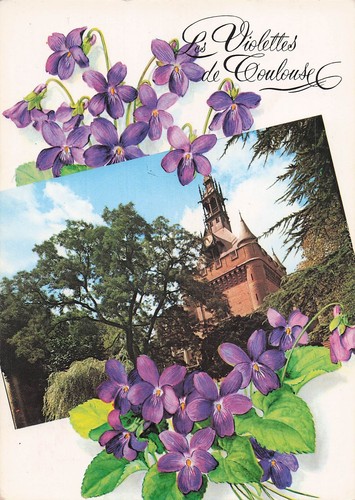 Toulouse les violettes - 31, de