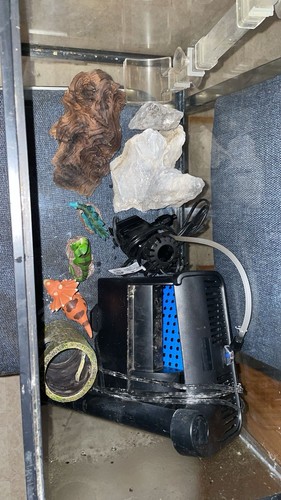 20g aquarium with decor and - aquarium,