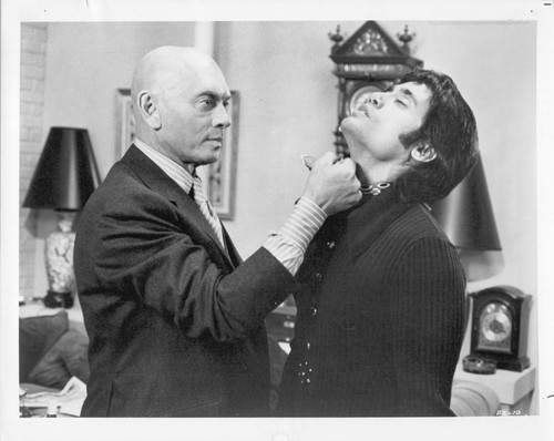Les poulets yul brynner tamara - poulets,