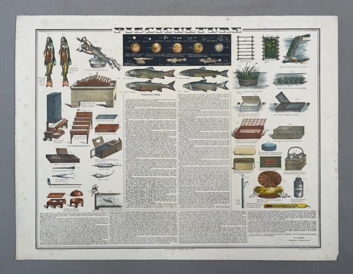 Pisciculture planche - pisciculture,,