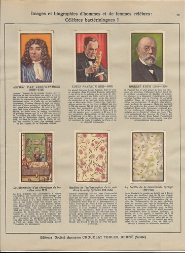 Famous bacteriologists antoni - famous,