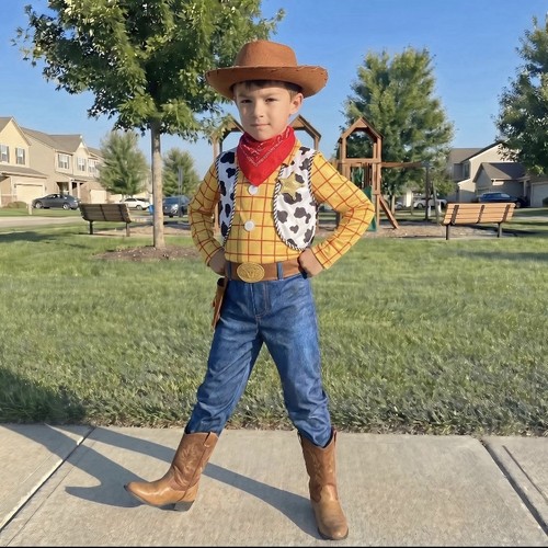 Costume woody toy - costume,