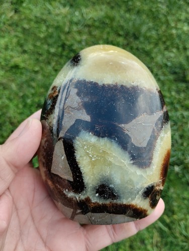 Septaria forme libre pierre - forme,