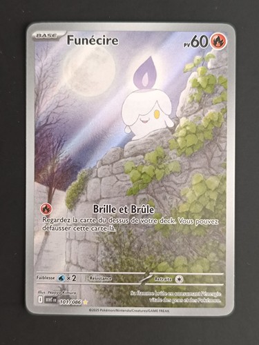 Carte pokemon flamme - carte,