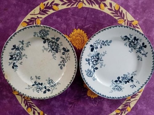 Plat rond terre - rond,