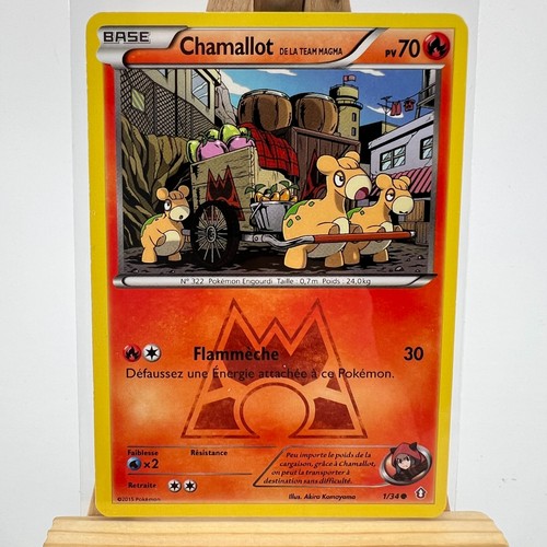 Chamallot team magma - team,