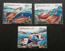 * LIVRAISON GRATUITE Malaysia Ornamental Fishes 2018 Pet Fish Aquarium (timbr...