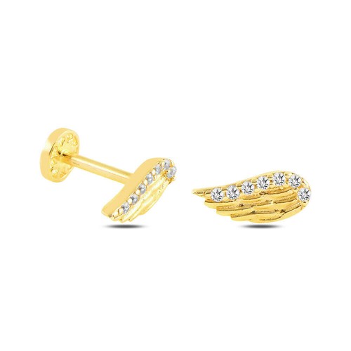Clou oreille tragus - d'oreille,