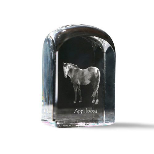 Appaloosa cristal sceau avec