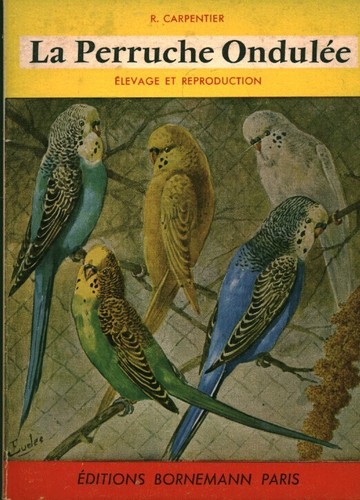 Livre ancien perruche - livre, la