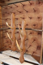 ANCIEN PORTE MANTEAU PATERE