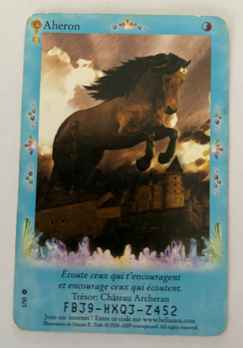 C38 carte bella sara - sara,