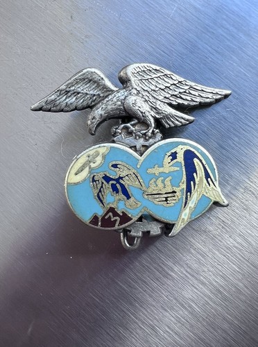 Original militaire insigne - original,