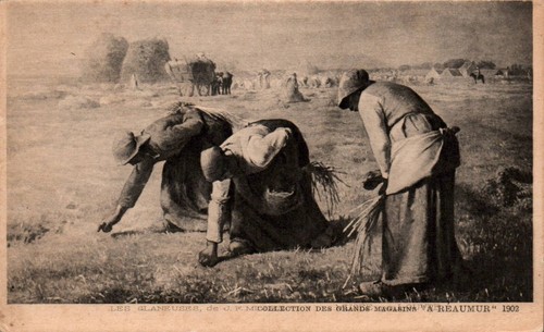 Cpa les glaneuses - ,