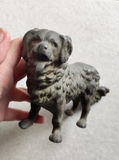 Chien En Régule Ancien