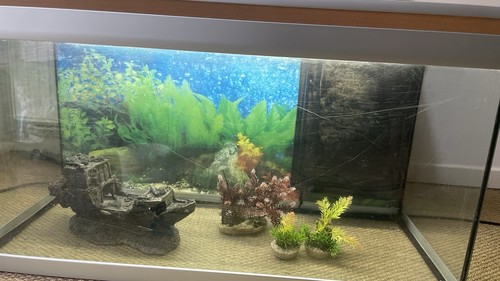 Aquarium 155l avec - aquarium,