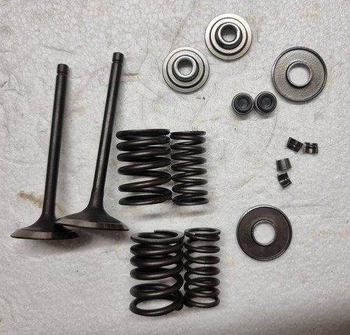 Kit soupapes queue ressorts - kit,