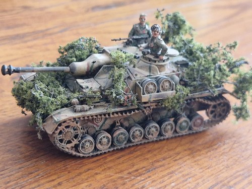Maquette expertly painted - expertly,
